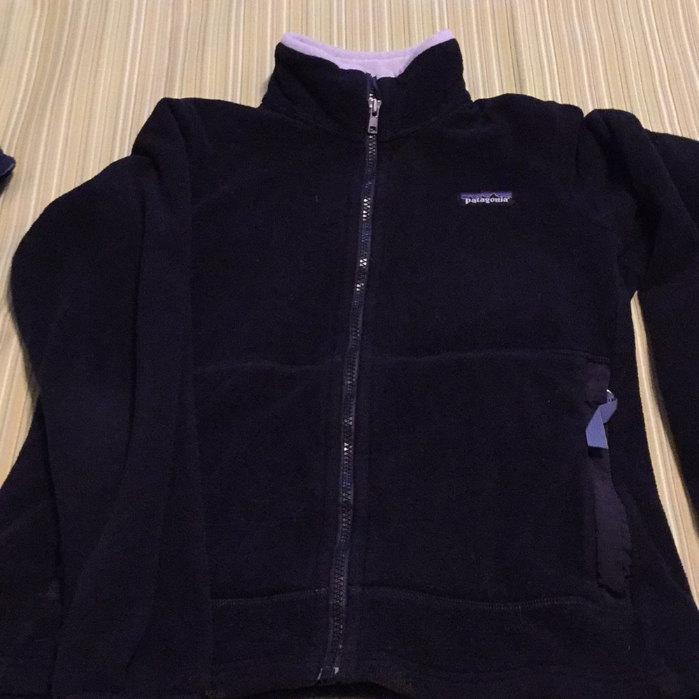 Patagonia Synchilla fleece